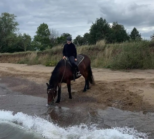 Stall Roempke Rid ut på egen hand